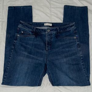 J. Jill Smooth Fit Straight Leg Denim Jeans